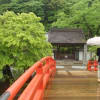 奈良 室生寺・弁財天石楠花