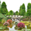 草津水生植物公園みずの森　NO２