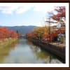 2014京都東山の紅葉！