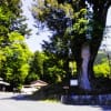 熊野神社　滋賀県