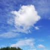 週末のジョギング散歩~夏の最後のご挨拶~