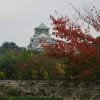 2015 大阪城公園の紅葉
