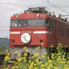 天燈茶房鉄道写真館