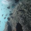 石垣島 ２０１３年３月