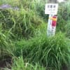 あの頃チャンネル(2011年07月17日～2011年07月23日)