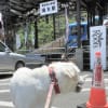 御岳山デジカメ編