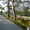 大原野神社