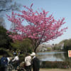 神奈川県立三ツ池公園②
