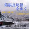箱根長尾根を歩く
