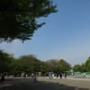 上野東照宮・・・参拝～牡丹苑へ～