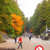 日光の旅、NO4