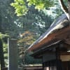 新座　金鳳山平林寺　紅葉　一期一会