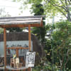円照寺の美しい庭