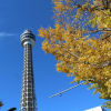 2013-11-29_横浜の秋