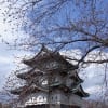 東北旅行（130429-0501）