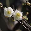 大町自然公園