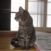 3年半ぶりの再開。