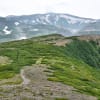 大雪山黒岳山頂と風衝地の花（2022年7月20日）