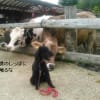 伝わっていますか、あなたの気持ち