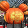 2017TDL『ディズニー・ハロウィーン』ハロウィーンデコレーション