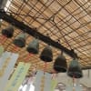 涼しさ感じる・・・・・チリン～チリン～風鈴・・・・・
