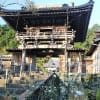 秋明菊とお寺
