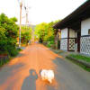 2013-05-05【お散歩☆茨城県（真壁の街並み）】