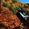 大町市霊松寺の紅葉とお葉付き銀杏