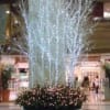 あの頃チャンネル(2008年11月16日～2008年11月22日)