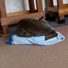 いつもだけど