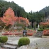 奥丹波紅葉スペシャル