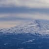 今年2回目の東光山