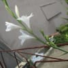 令和元年5月11日