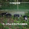 ランを満喫するのだ！