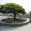 宮城県　松島遊覧船＠2012夏