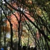 愛岐トンネル群散策