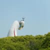 万博公園のバラフェスタに～