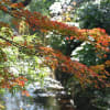 ぶらり散歩（鎌倉）