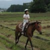 カウボーイキャンプ