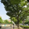 8/13午後思い立ってお寺巡り…３東長寺