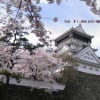 桜に埋もれた小倉城