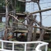 2011/札幌・円山動物園