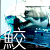 合わせ