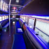 Party Bus For Atlanta | Black Bear Bus | 35 Passengers | 