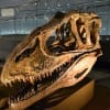 福井県立恐竜博物館　2016年２月