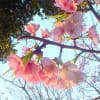 ２０１３年　３月