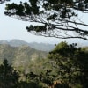 おひさの大海山