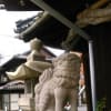 動物昆虫記７