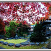 日の出と紅葉巡り