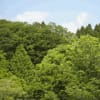 生命の森リゾート（せいめいのもりりぞーと/千葉県長生郡長柄）